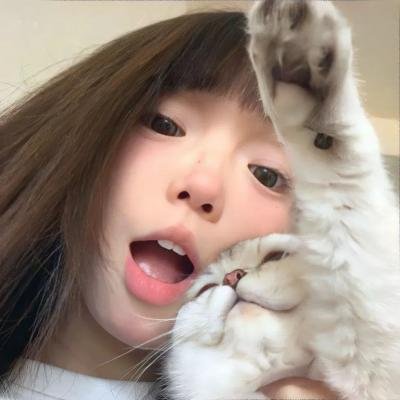 大白鲨2